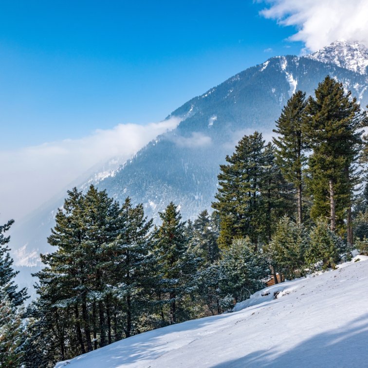 The Spiritual Side of Kashmir: Temples, Shrines, and Sufi Sites