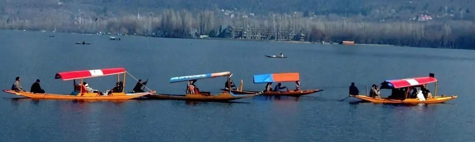 A Day of Adventure: Gondola and Shikara Ride in Kashmir