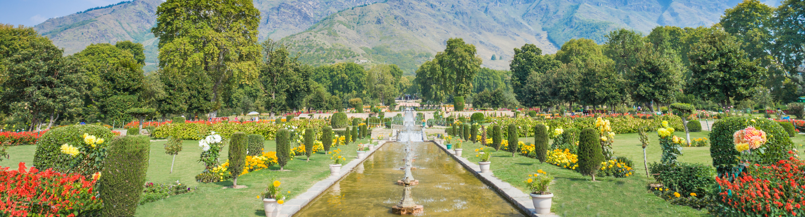 The Best Tea Gardens to Visit in Kashmir