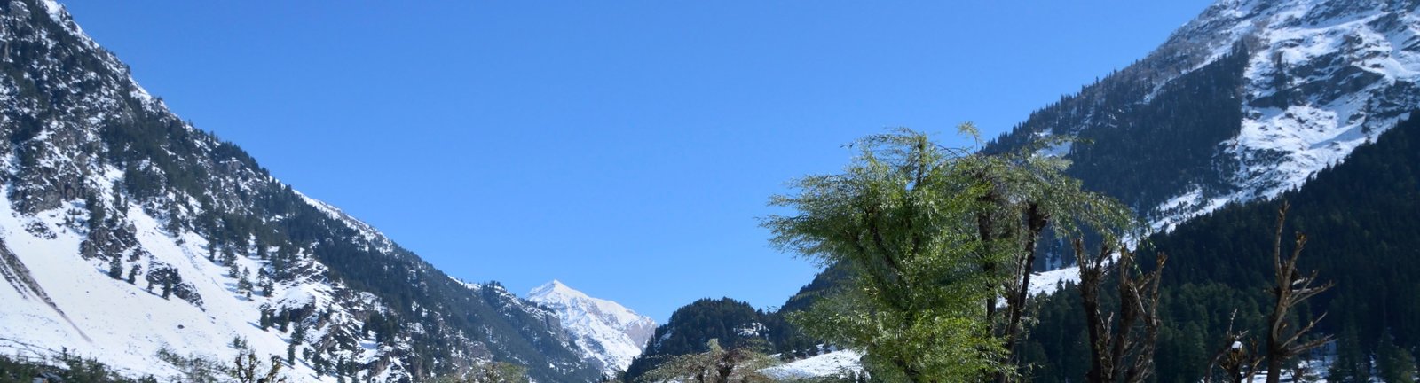 Monsoon in Kashmir: Why It’s a Unique Time to Visit