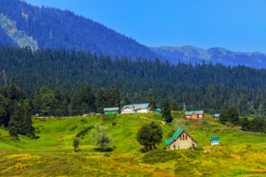 Wildlife in Kashmir